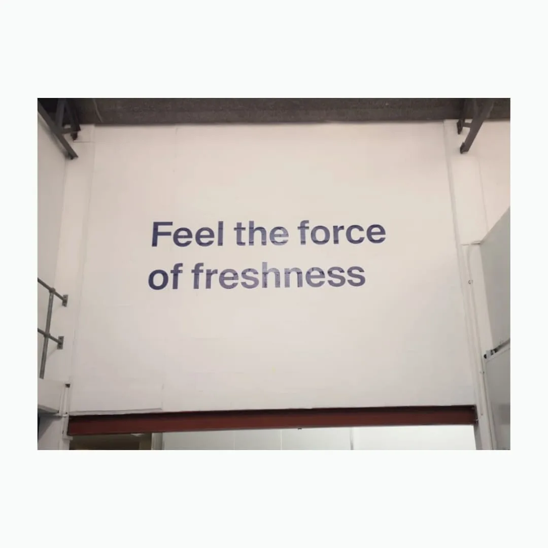 Large cut vinyl wall decal slogan on a white interior wall