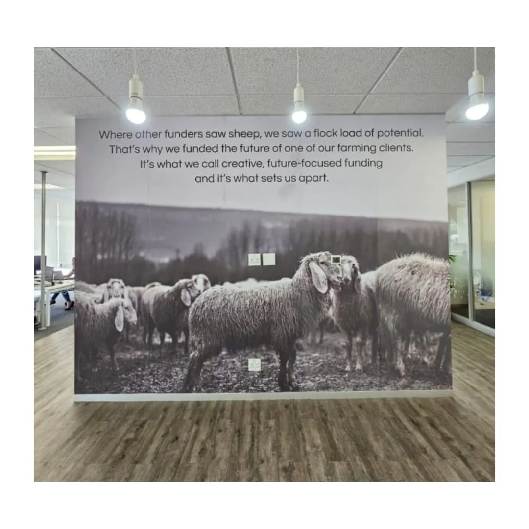 Vinyl graphic wall wrap project