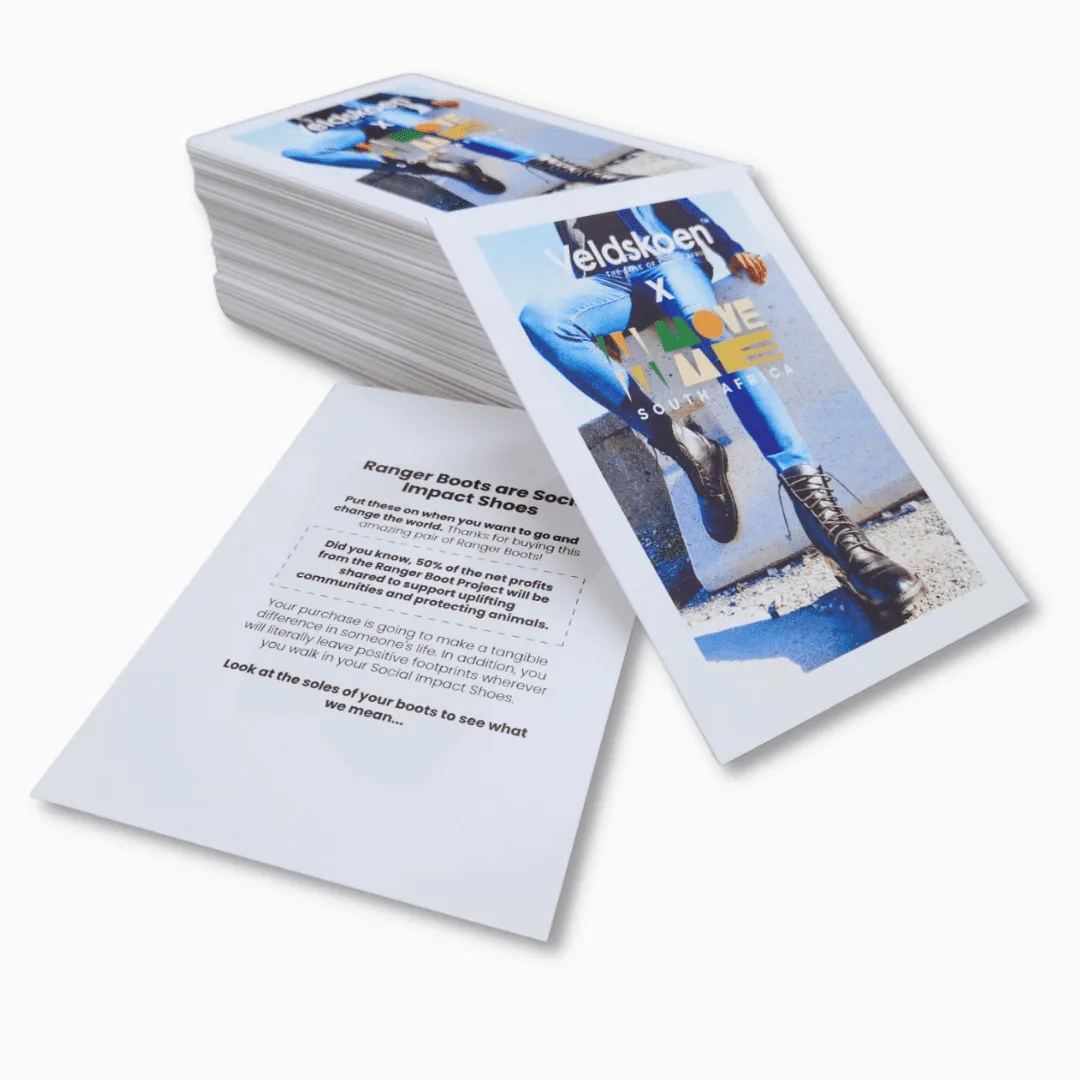 Printed brochures and flyers showcase