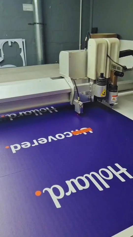 Branded bin boxes printed for the Nampo show